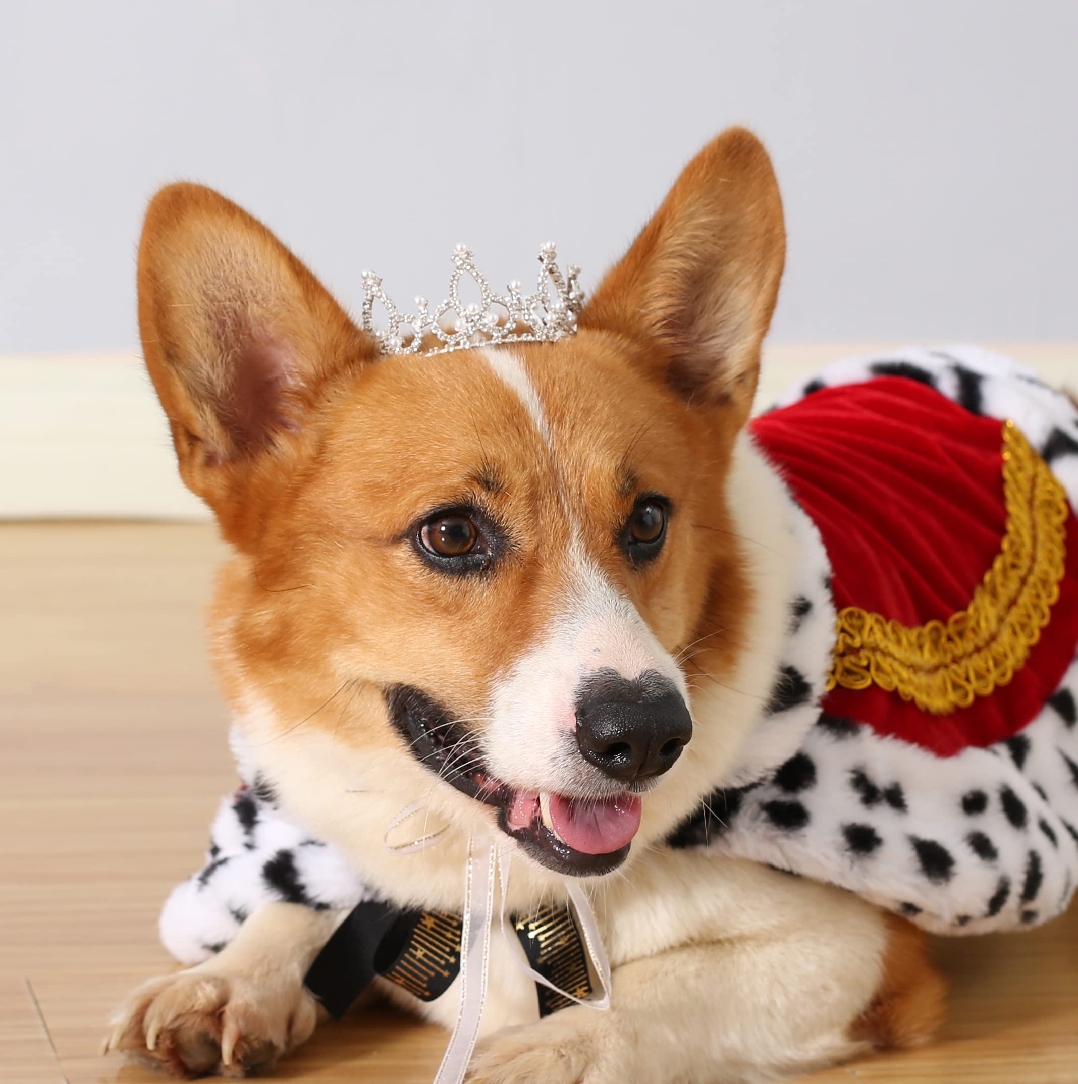 Amazon.com : Lovelyshop Pet Series Silver Plated Royal Rhinestone